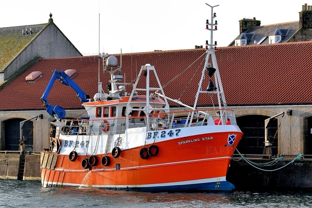 Sparkling Star III - SC McAllister Design