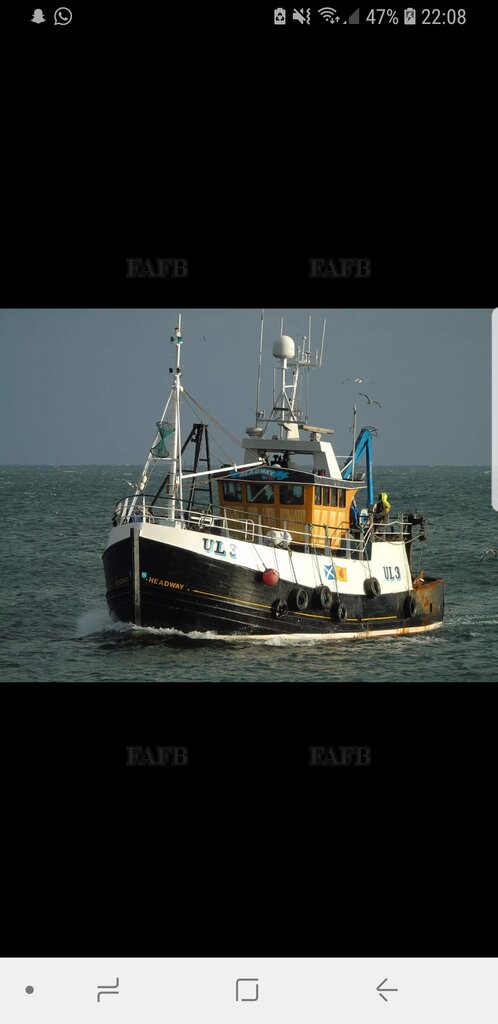 Herd &amp; Mackenzie 1982