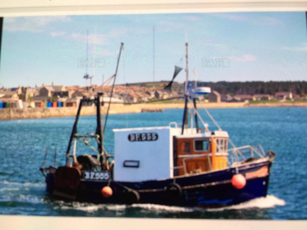Prawn Trawler