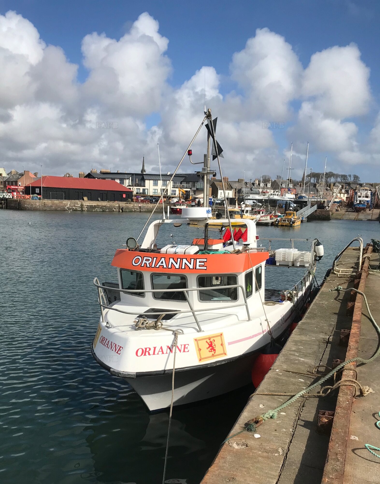 Large picture for advert 112182