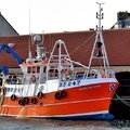 Extra picture for advert 116832